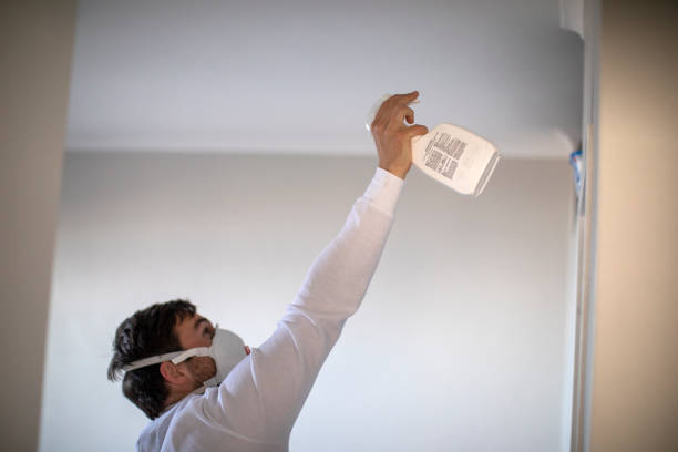 Best Local Mold Removal Service  in Tres Arroyos, NM