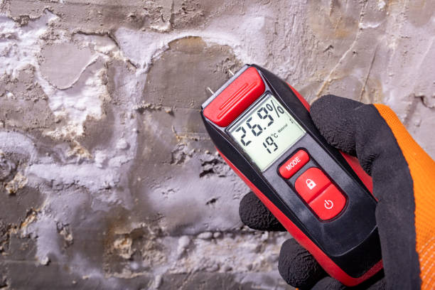 Best Mold Testing  in Tres Arroyos, NM