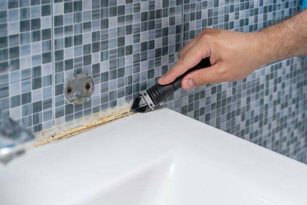 Best Mold Damage Repair  in Tres Arroyos, NM
