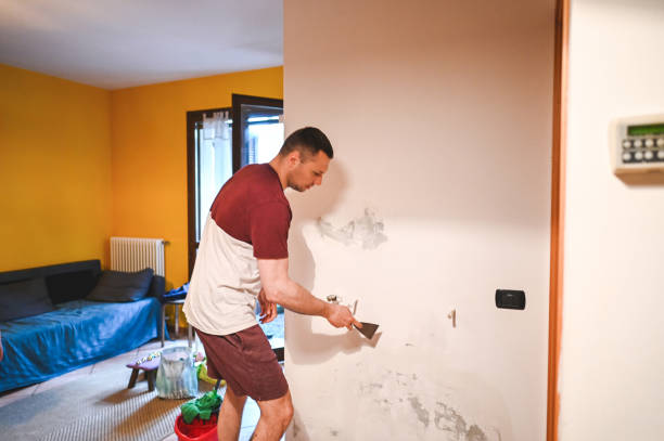 Best Residential Mold Removal  in Tres Arroyos, NM